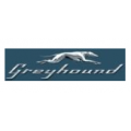 Greyhound